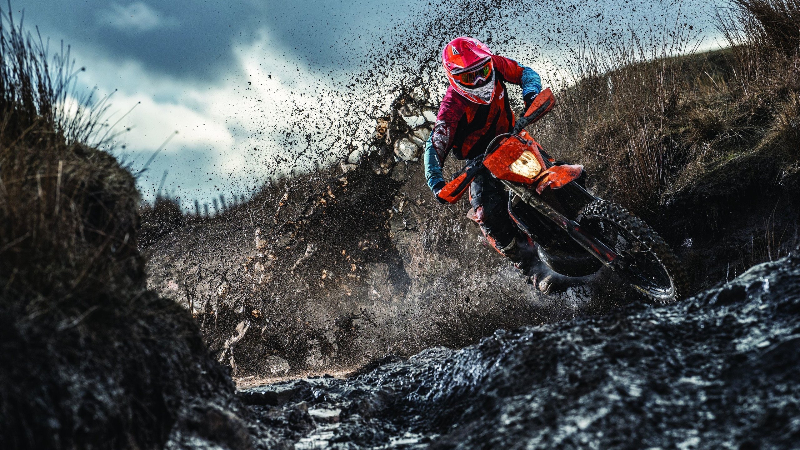 前国手现身解说席点评比赛为观众带来专业视角